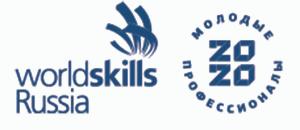 Финал VIII Национального чемпионата "Молодые профессионалы" (WorldSkills Russia)